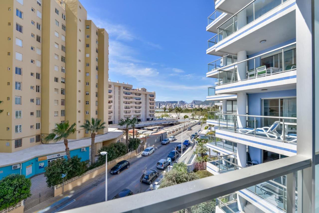 Hipocampos En Calpe