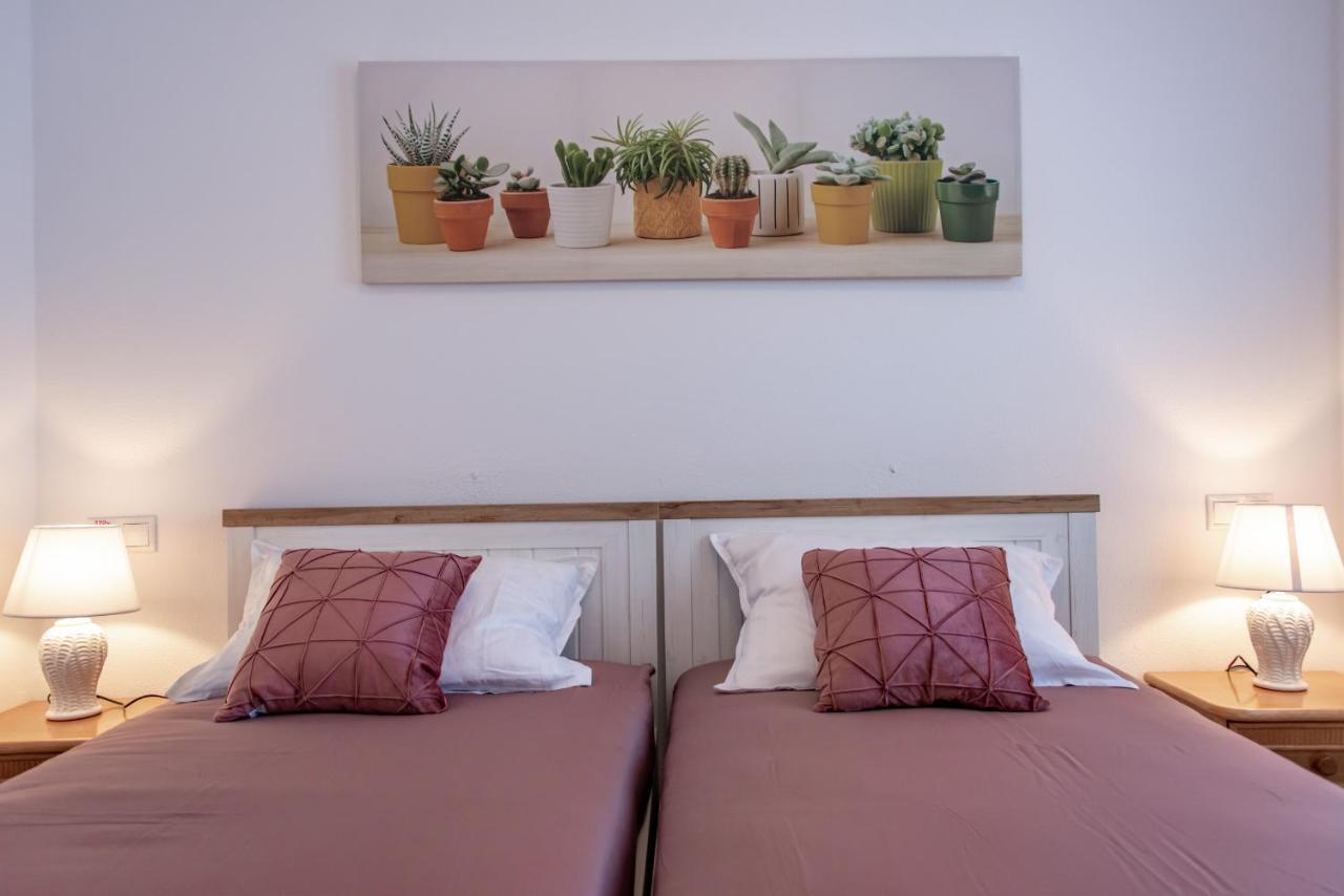 Hipocampos En Apartamento *