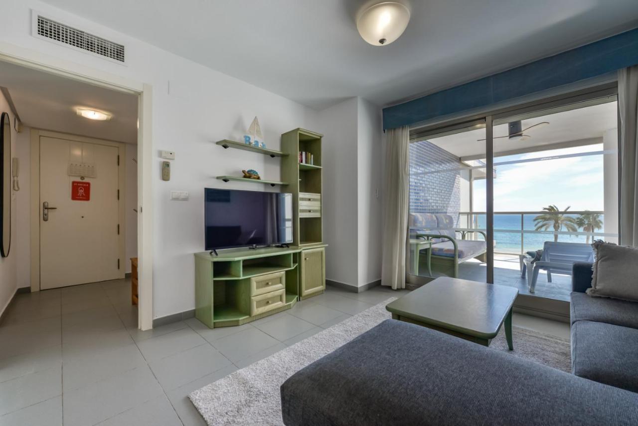 Hipocampos En * Calpe