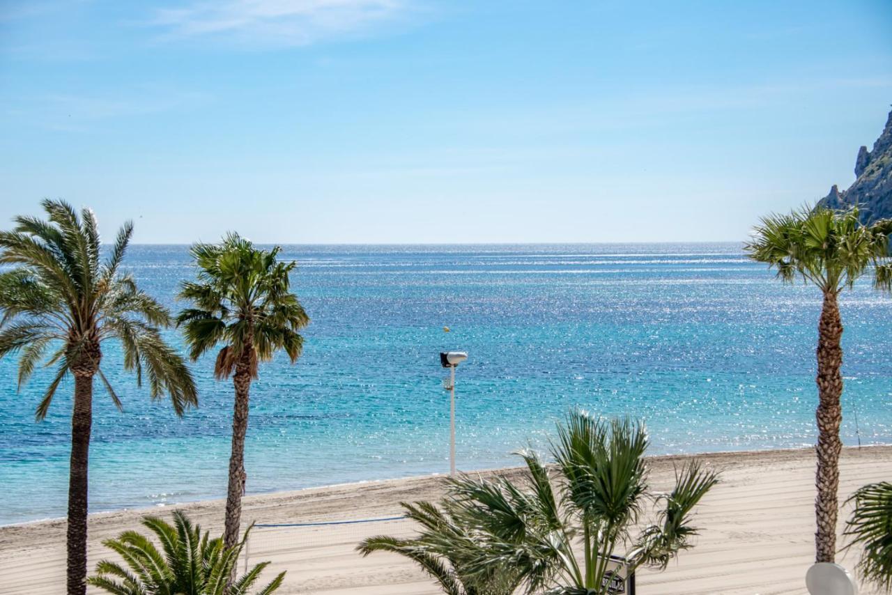Hipocampos En * Calpe