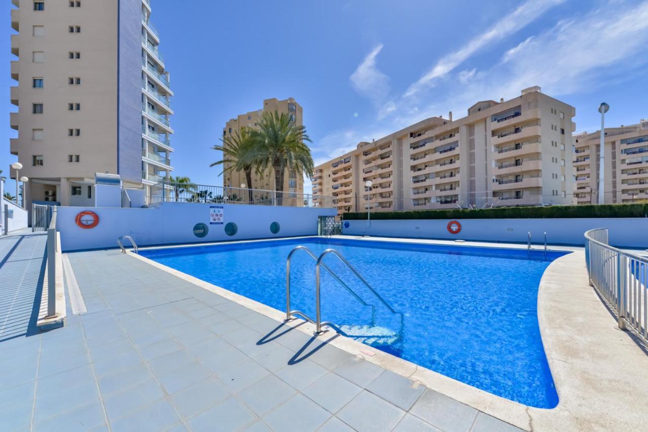 Hipocampos En Calpe