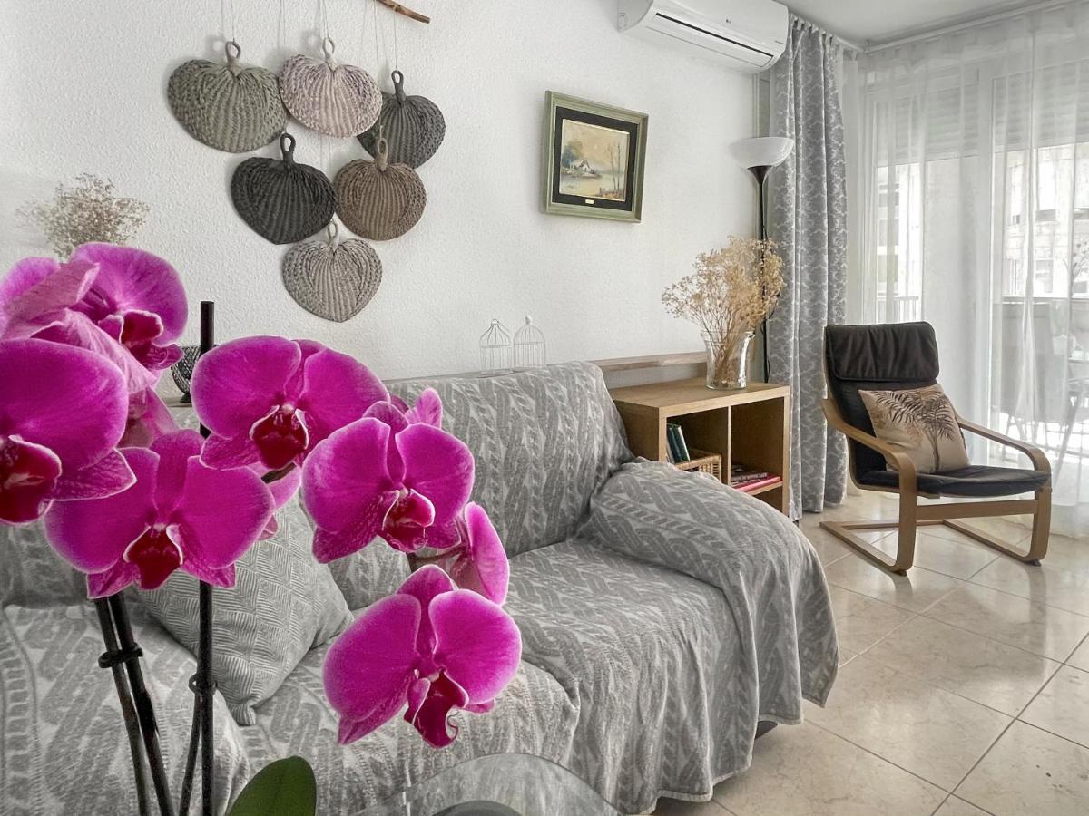 Apartamento Orquidea Con Piscina