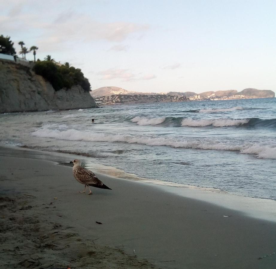 Santa Marta Atico * Calpe