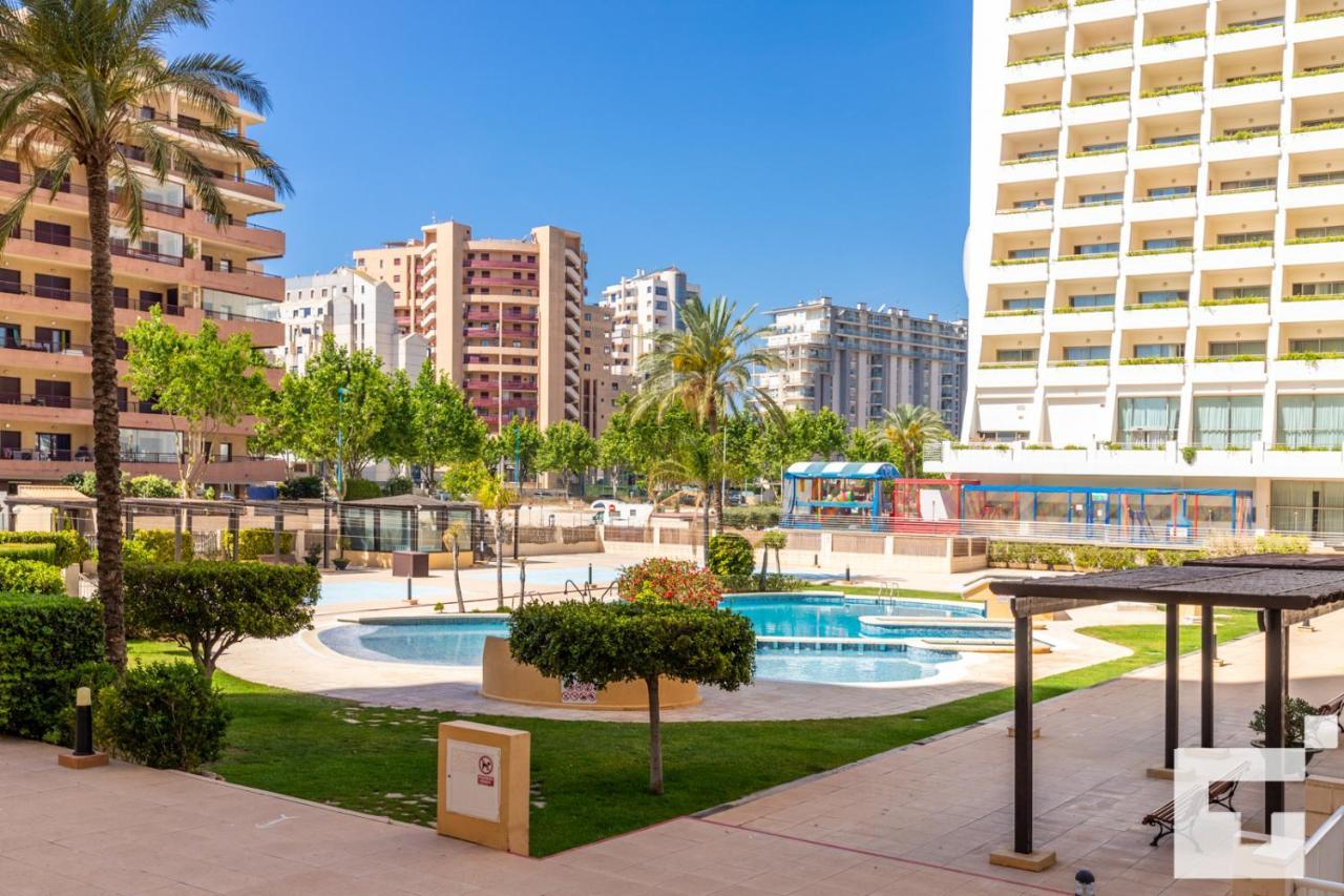 Apolo Xvi 16 - Grupo Turis * Calpe