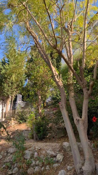 Villa Marie Vue * Piscine * Clim * Parking * Smart Tv