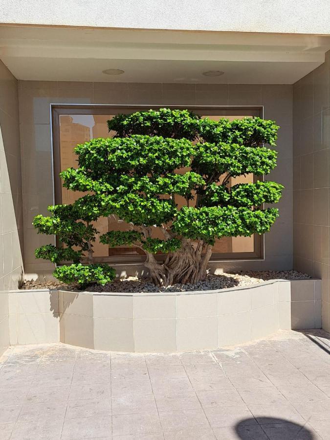 Esmeralda Seaview Apartamento *