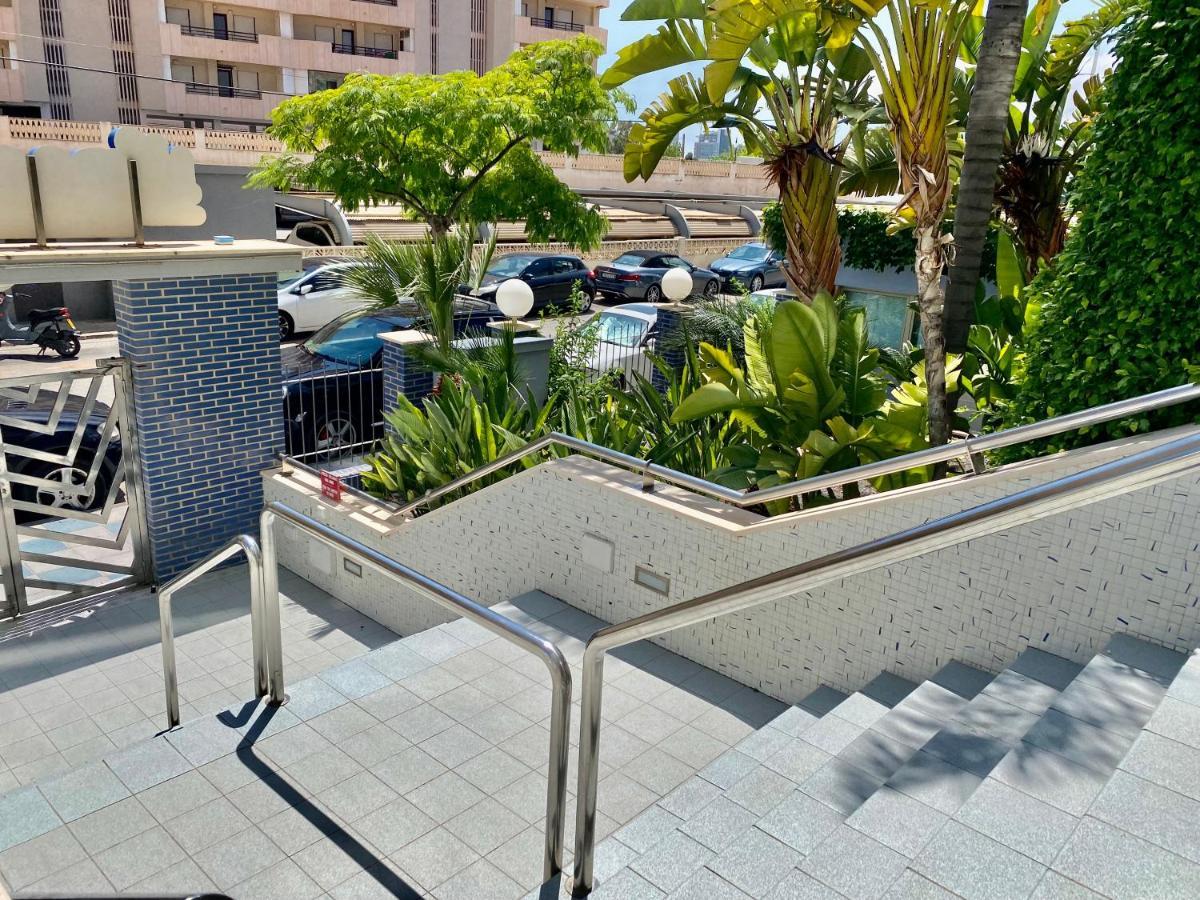 Hipocampo 25-a Apartamento