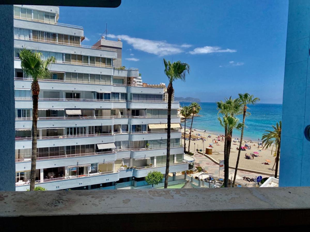 Hipocampo 25-a * Calpe