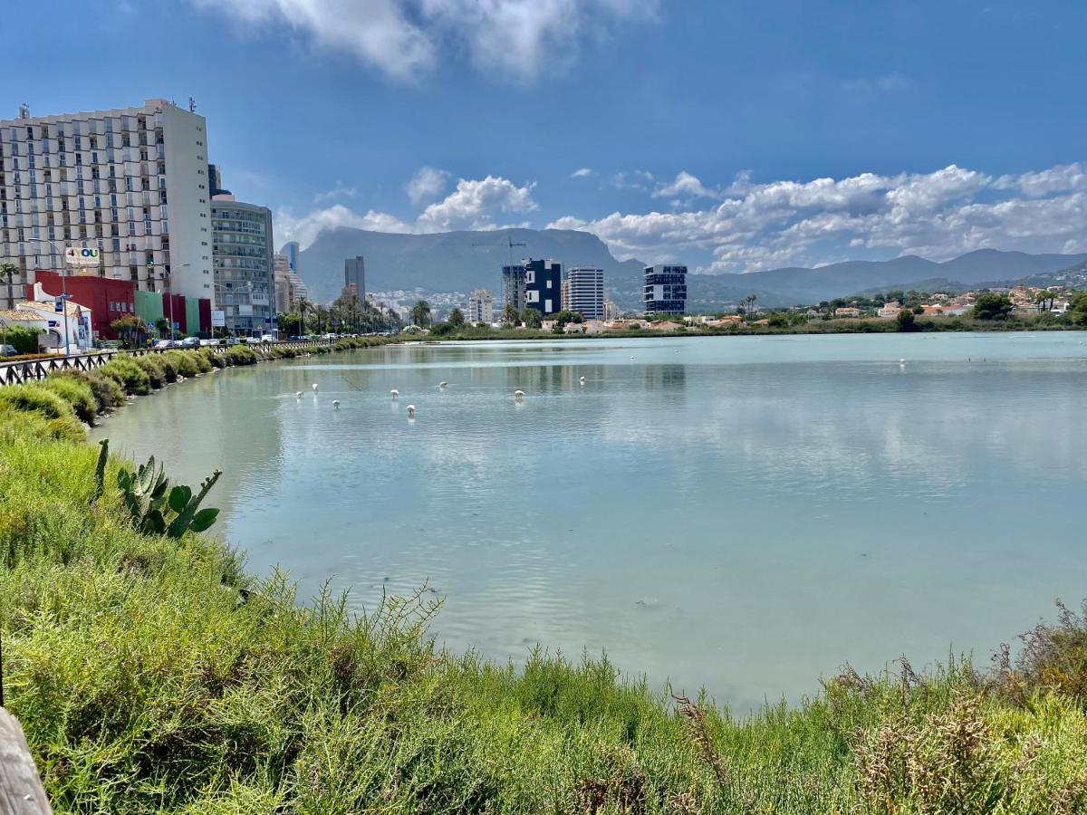 Hipocampo 25-a Apartamento