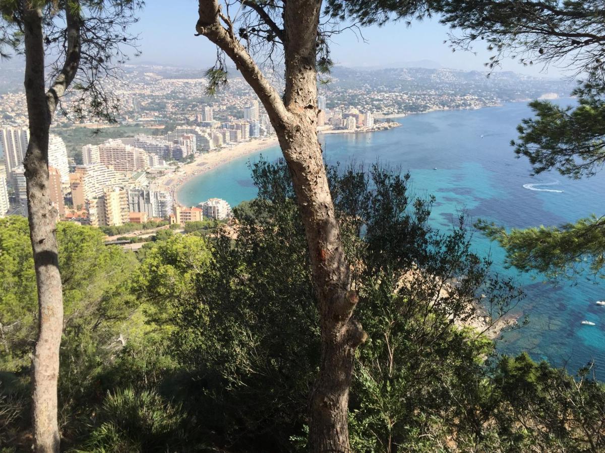 Mesana / First Line With Panoramic Sea View