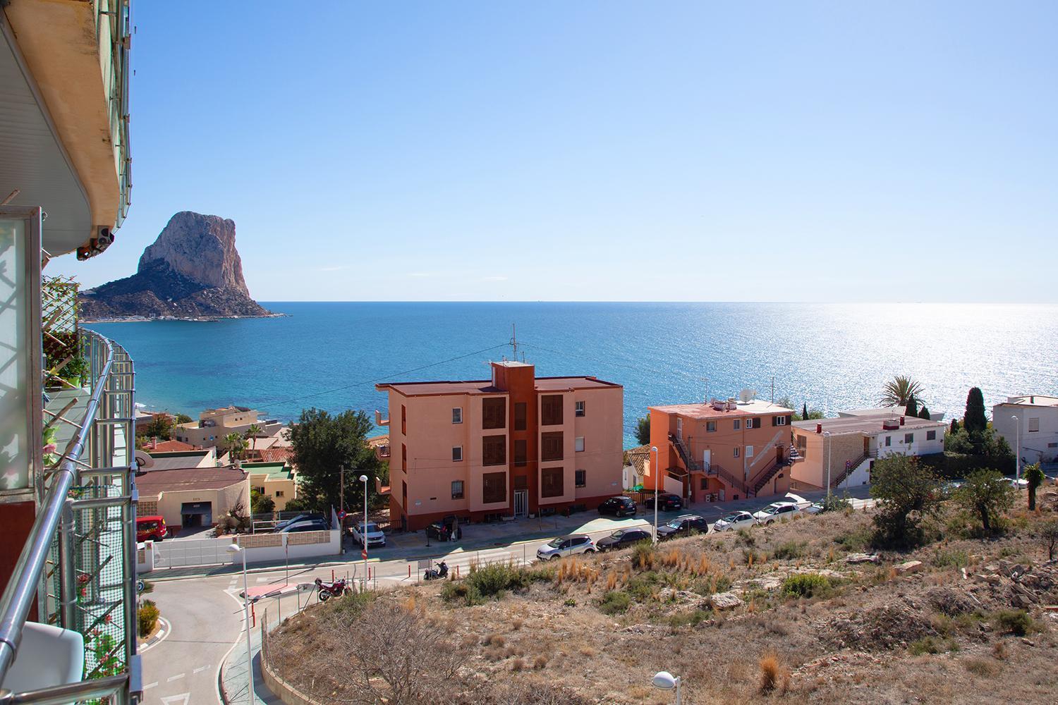 Homeincalpe Borumbot