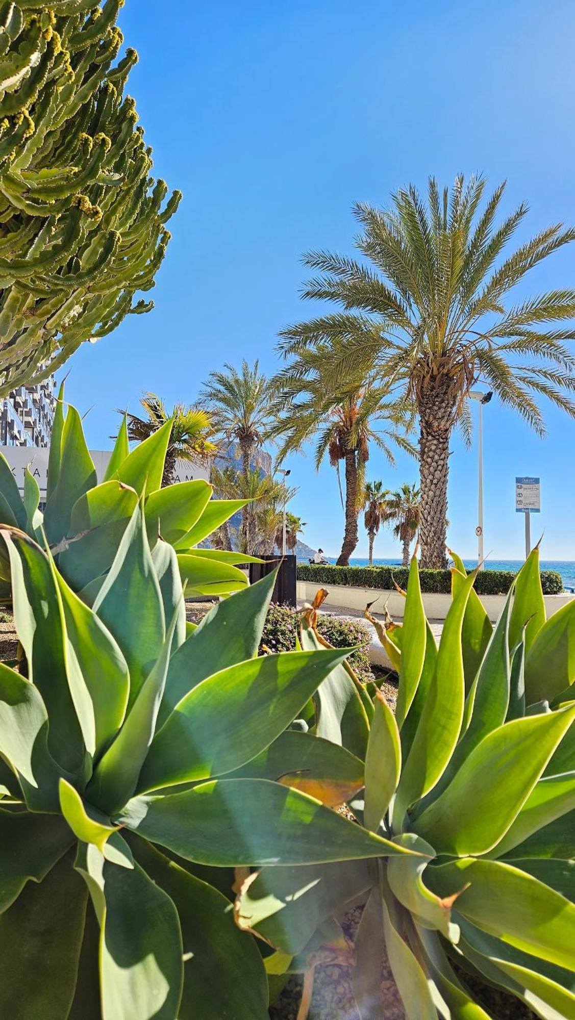 Atlantico Flamingo Apartment Calpe