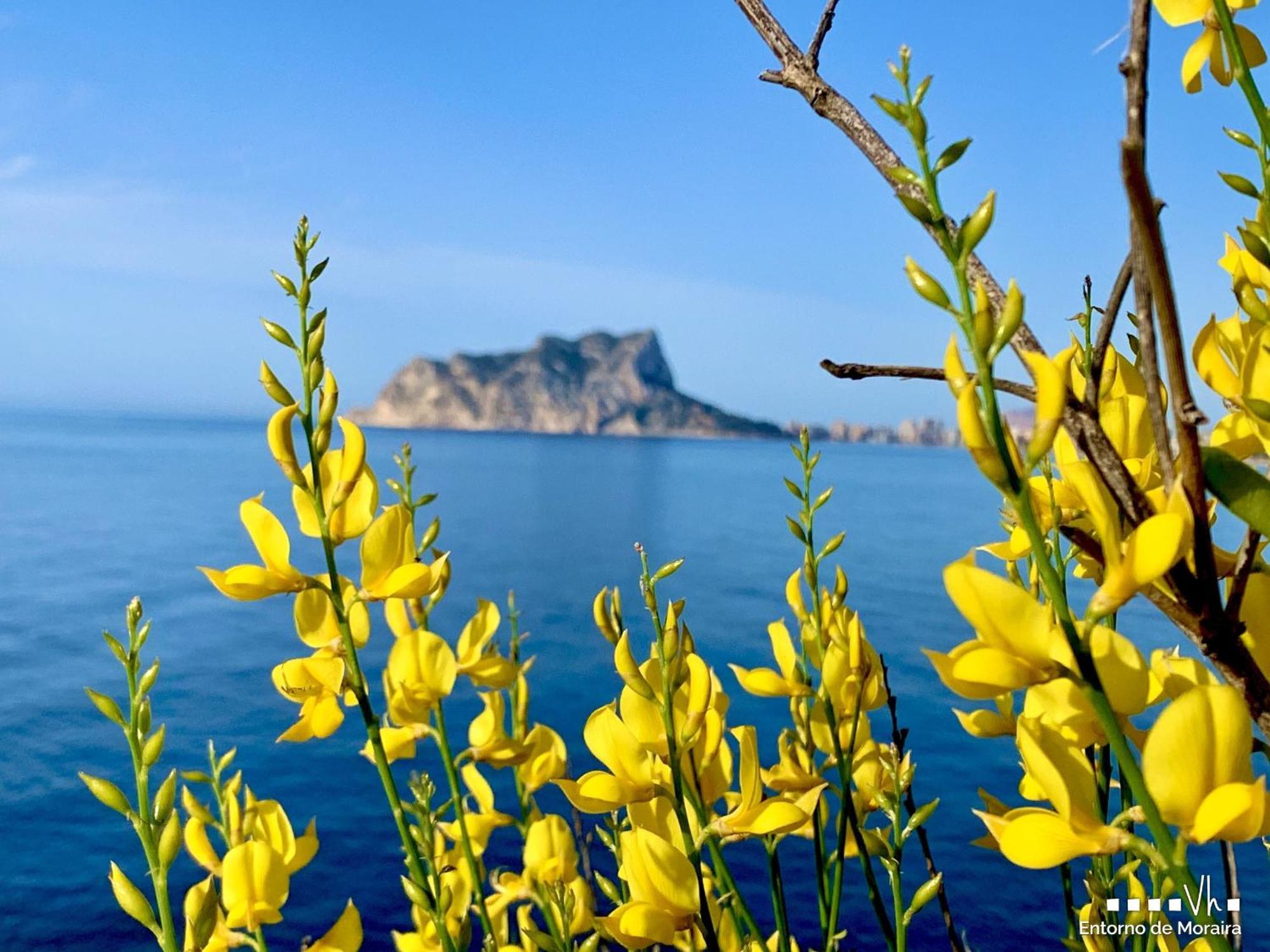 Vh Costablanca - Eva Villa