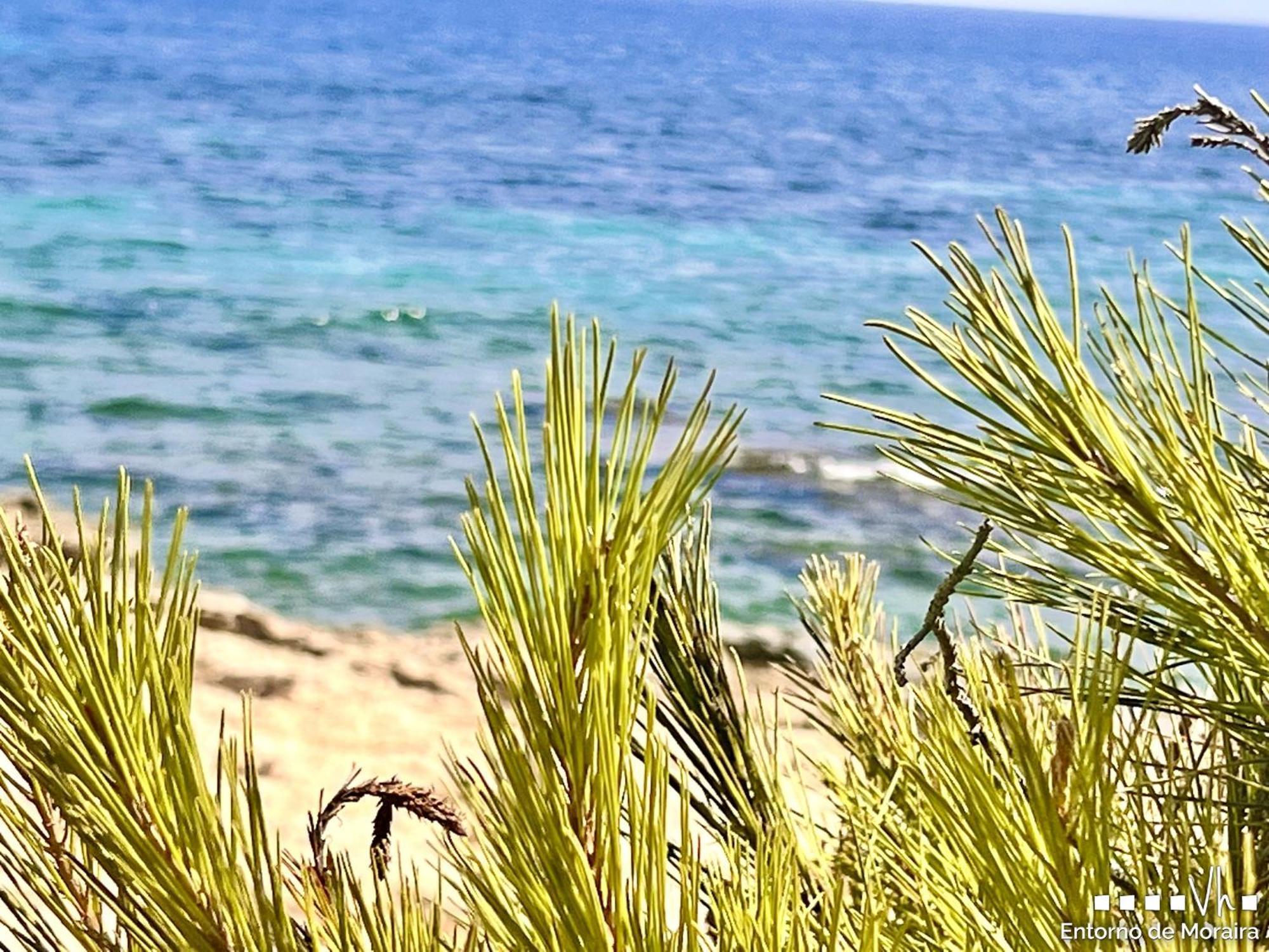 Vh Costa Blanca - Alombra Villa