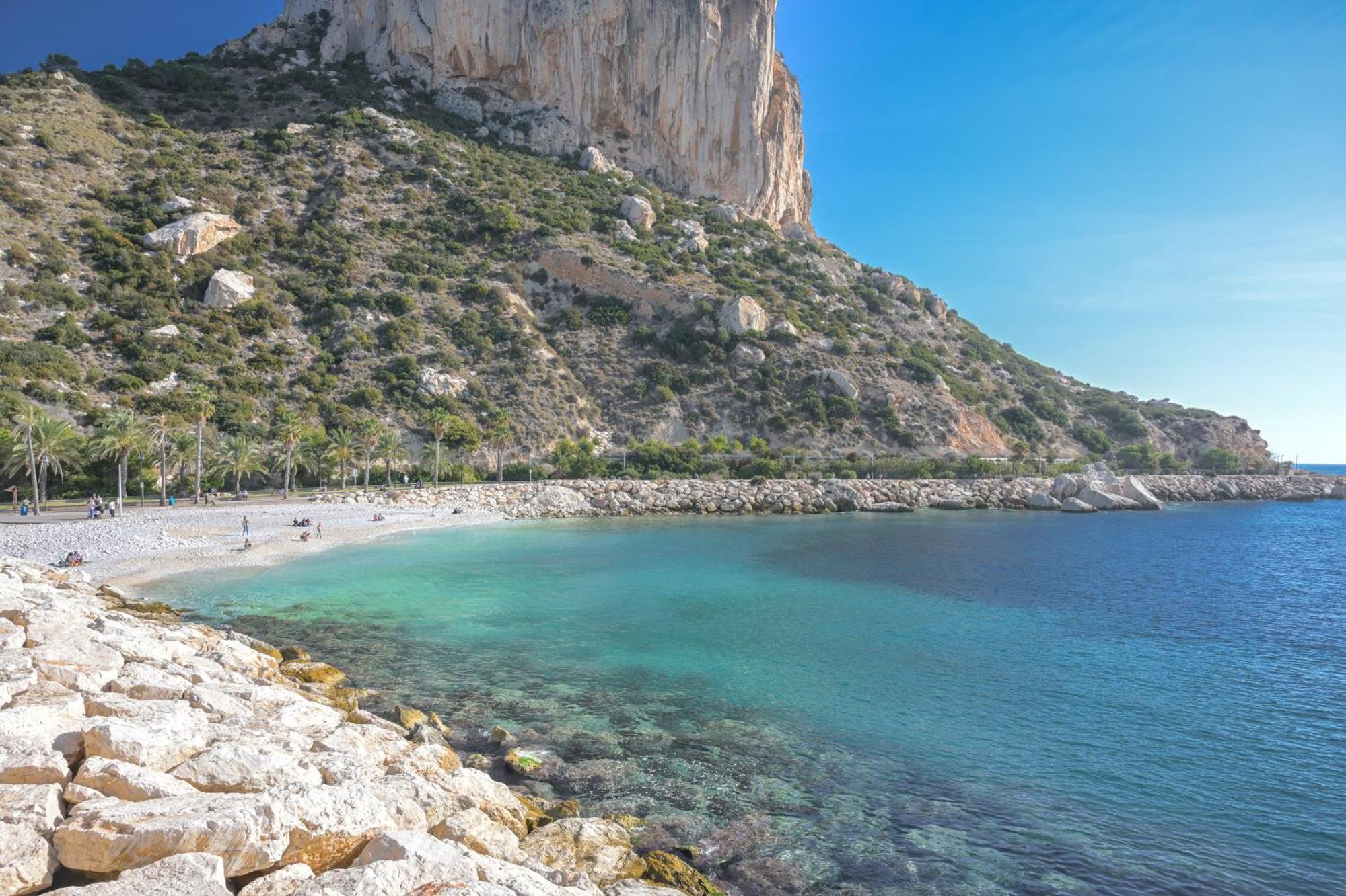 Coco * Calpe