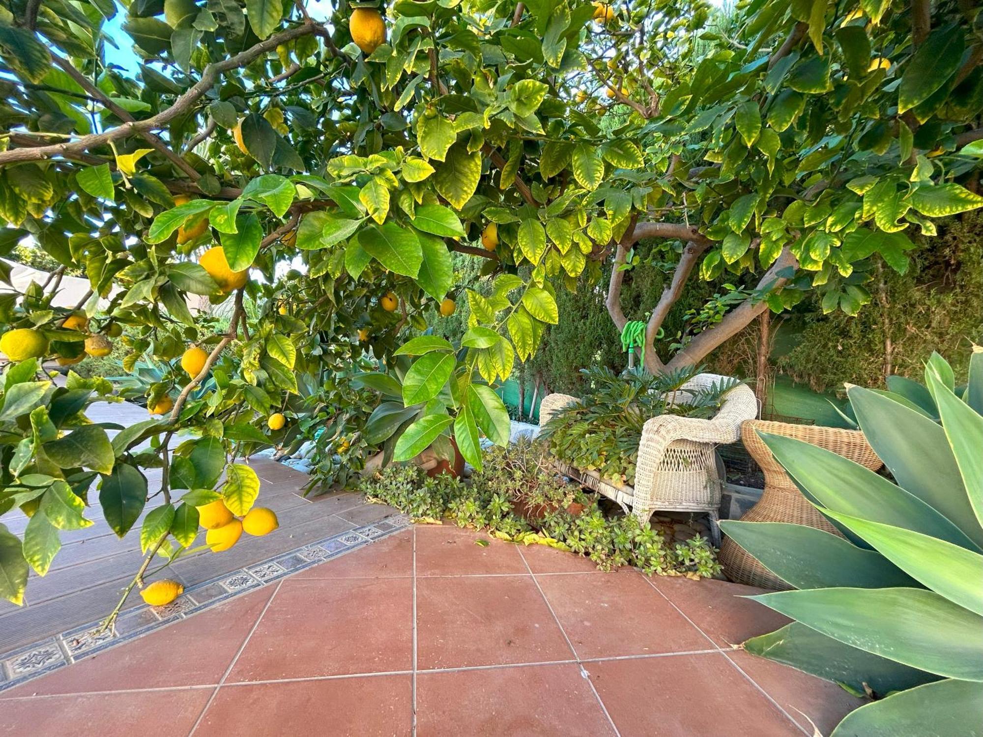 Casa Luna Llena Villa
