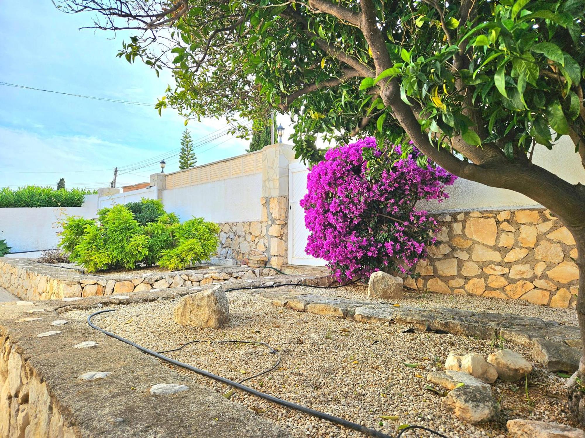 Lilly * Calpe