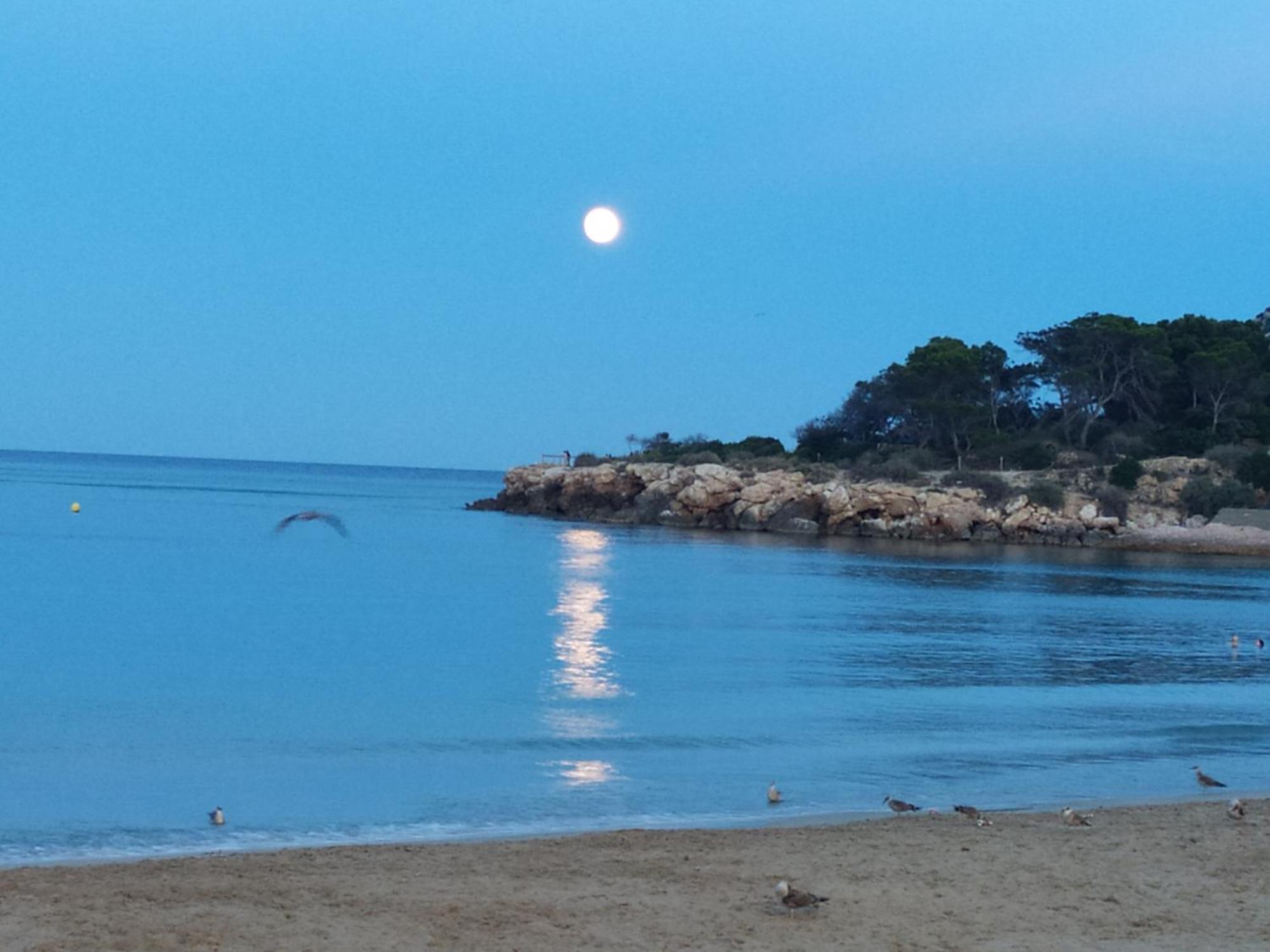 Estudio Miramar Сasa de vacaciones Calpe