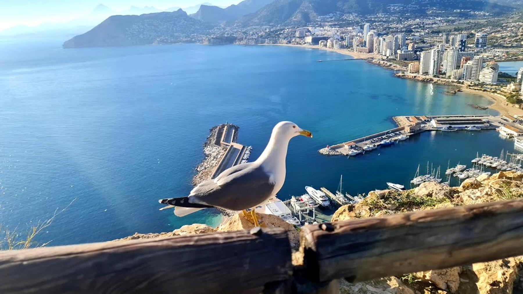 Apartamento Timora Sea View New Apart' Hipocampos *