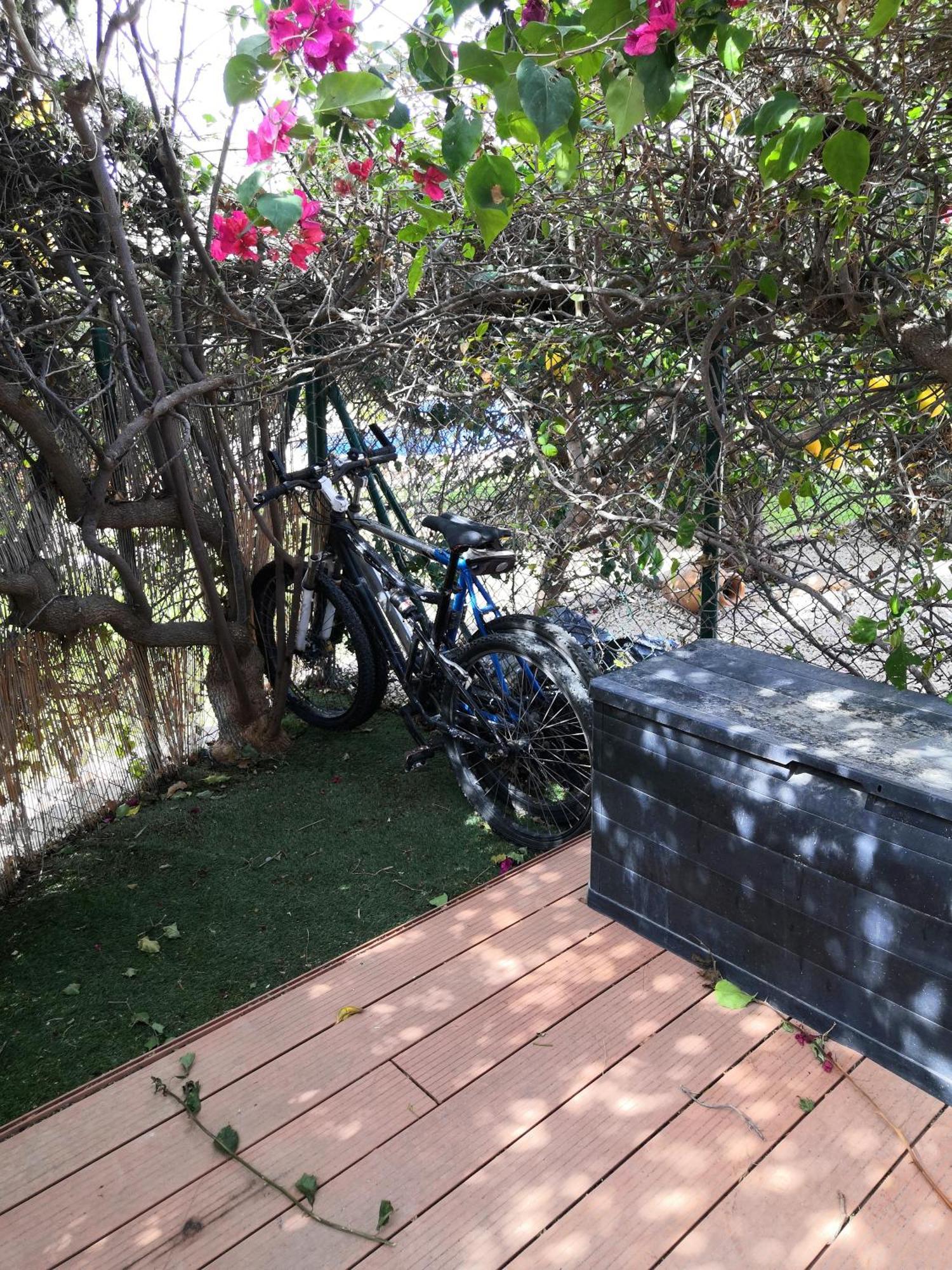Apartamento Con Patio Y Salida A La Piscina. Calpe