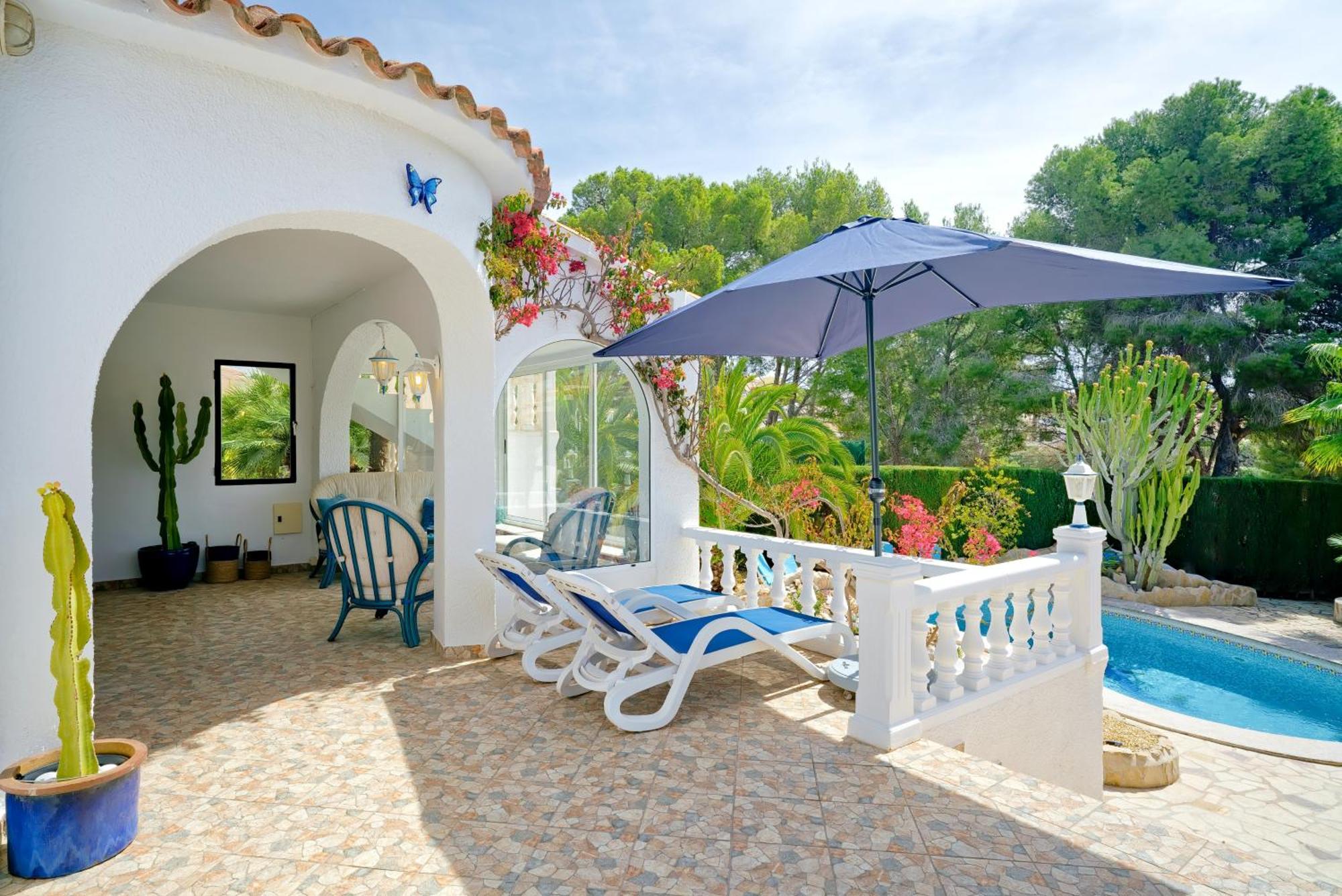 Mariposa Calpe