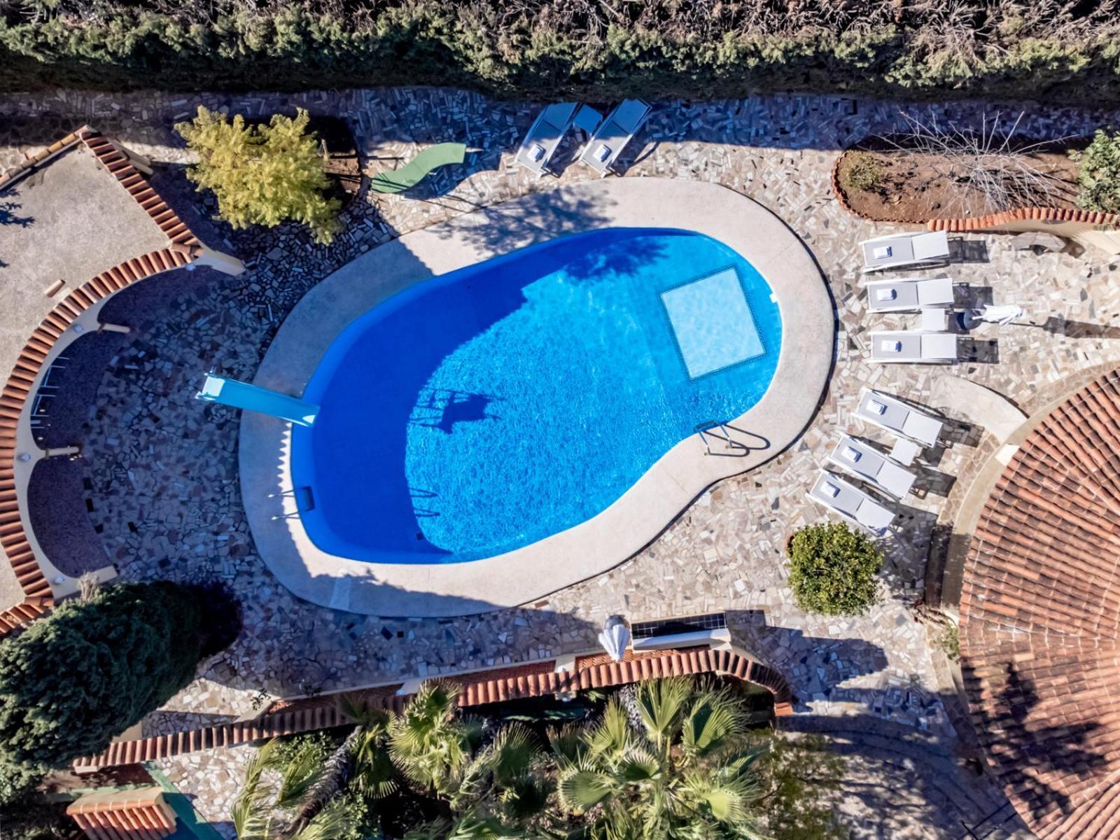 Guzman - Xenia Calpe