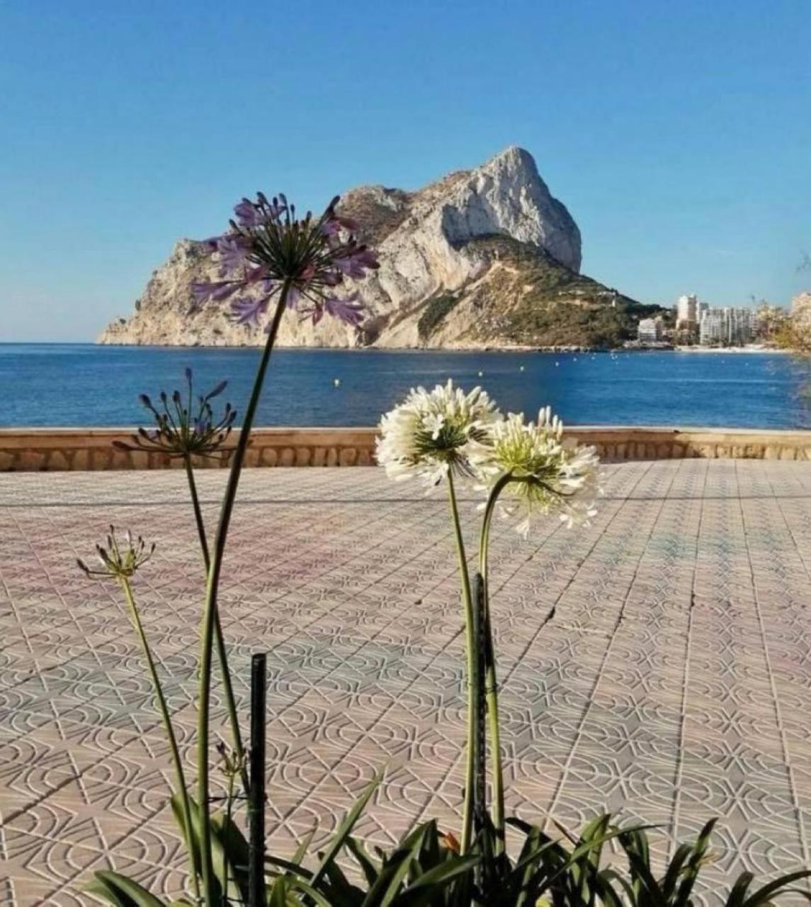 Apartment Hipocampos Calpe