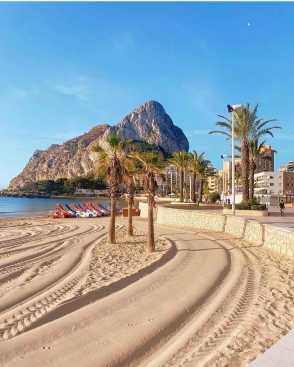 Hipocampos Calpe