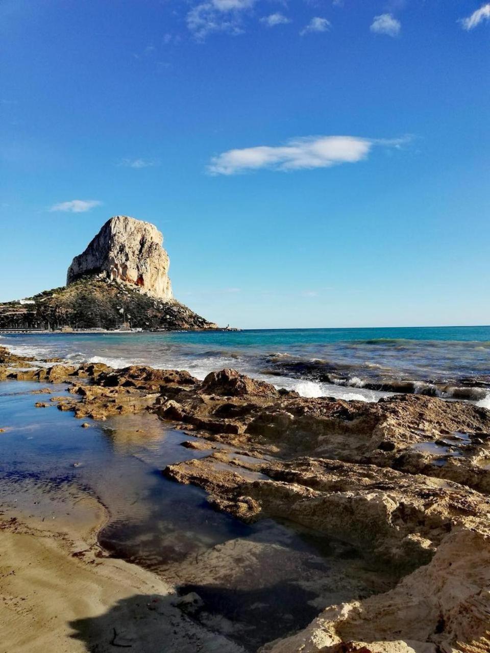 Hipocampos Calpe