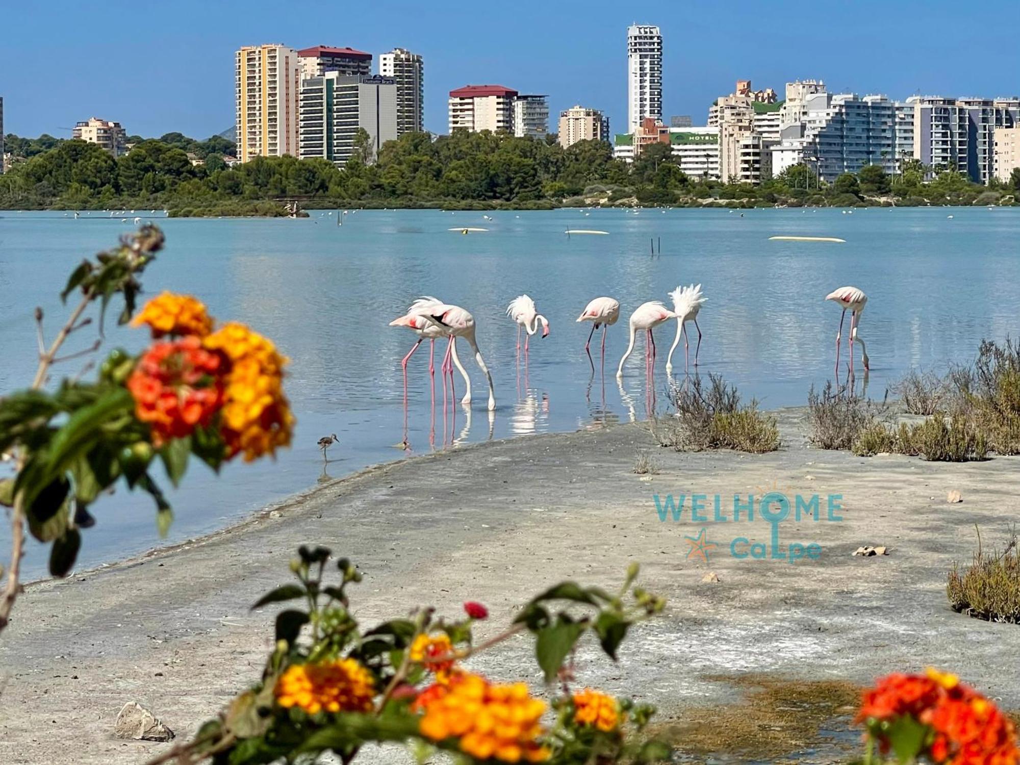Orquidea Comodo Apartamento: Vista Al Mar, Piscina, Parking Apartment