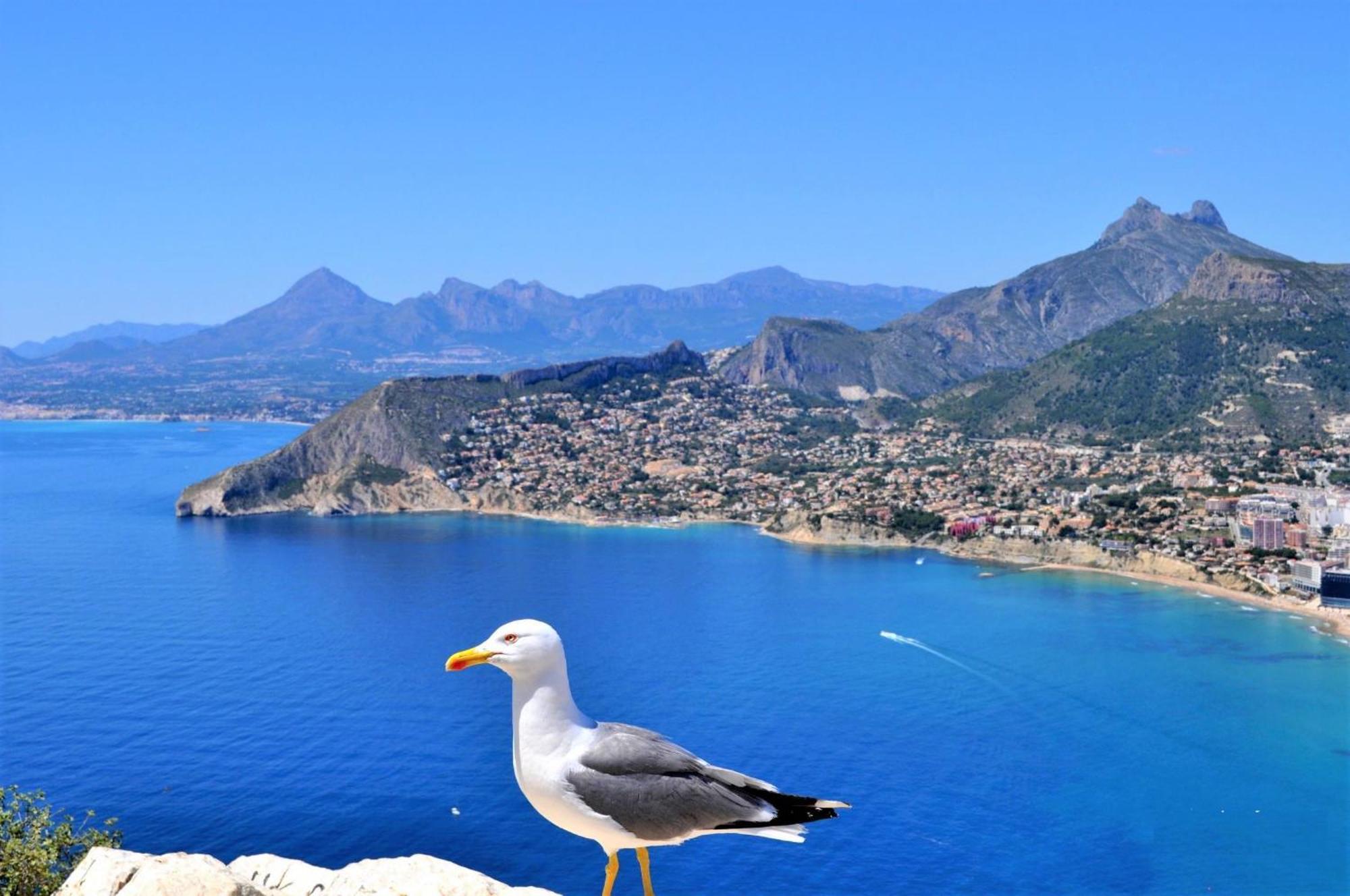 Amibarco Calpe