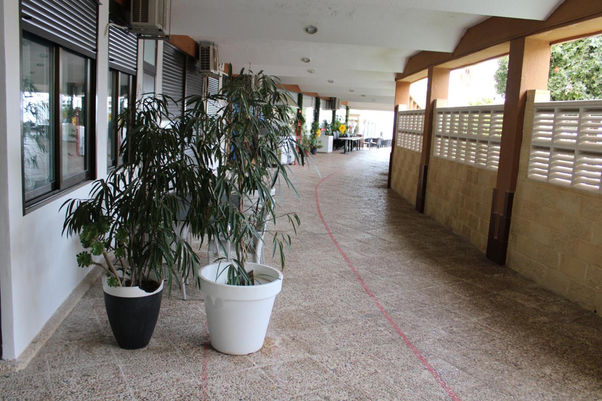 A Estrenar 1a Linea Playa Y Piscina