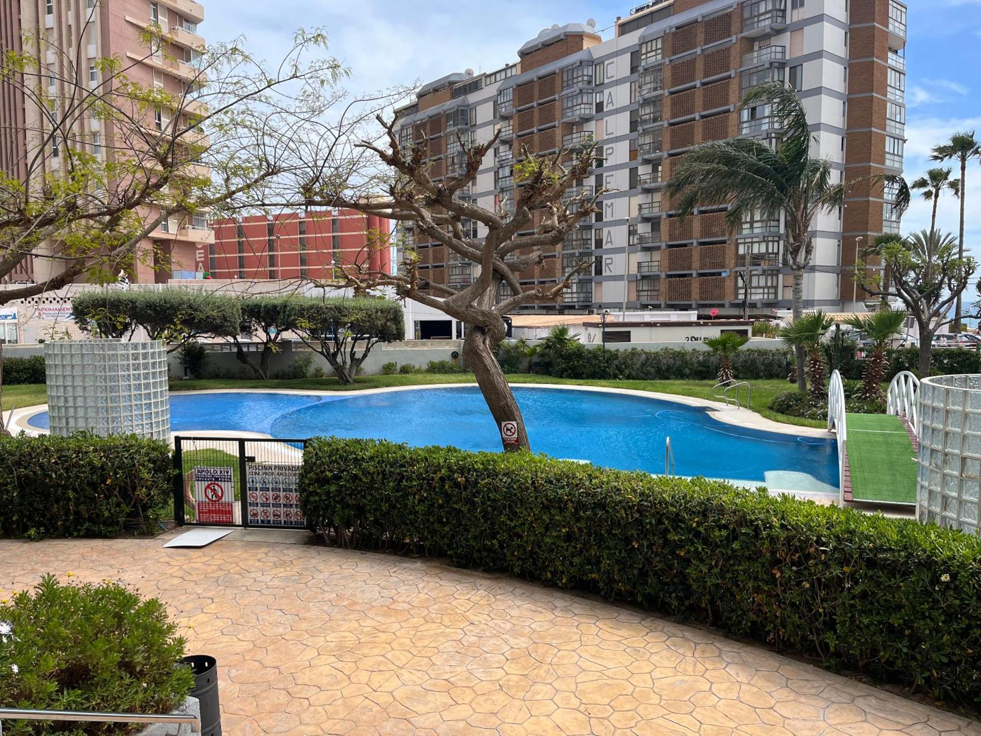 Cozy Apolo Xiv Seaview Apartamento *