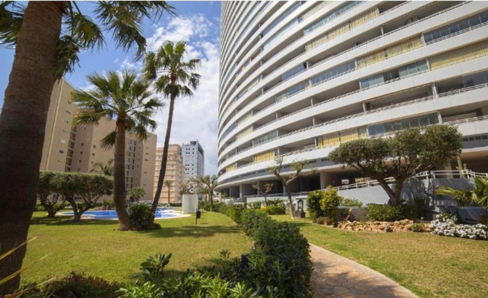 Homeincalpe Apolo Xiv * Calpe