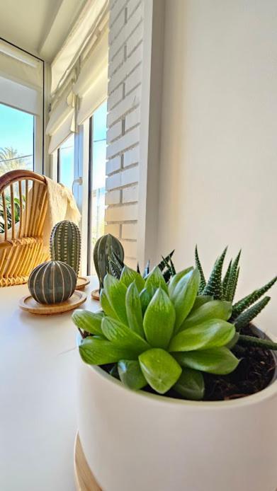 Apartment Boho Arenal Bol Calpe