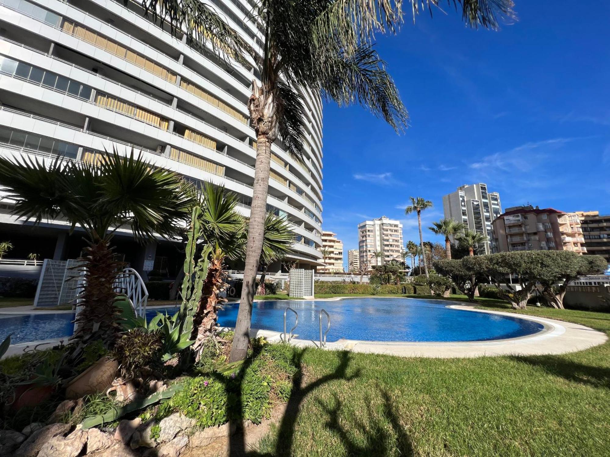 Apolo Xiv Calpe