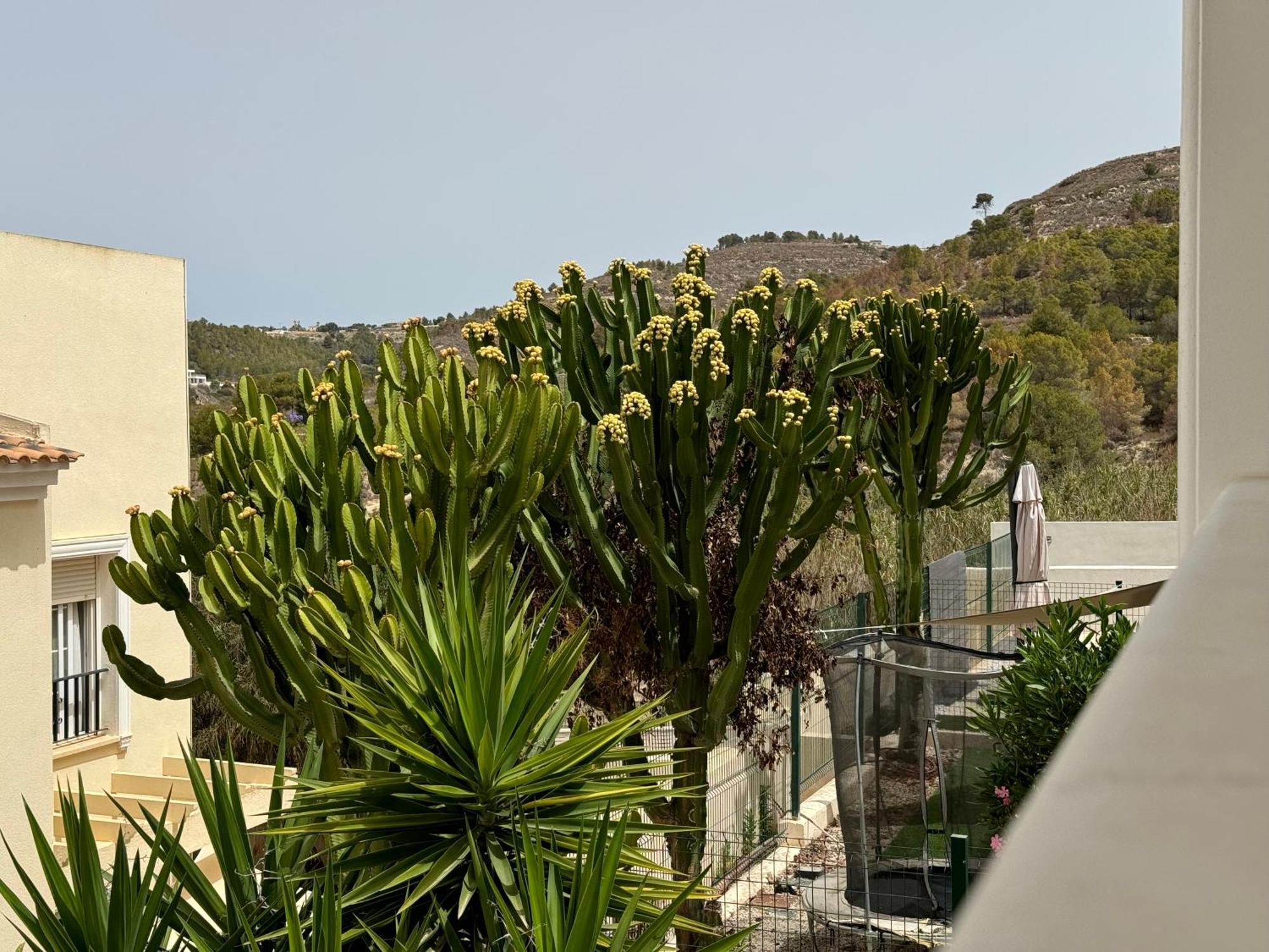 Casa Serena