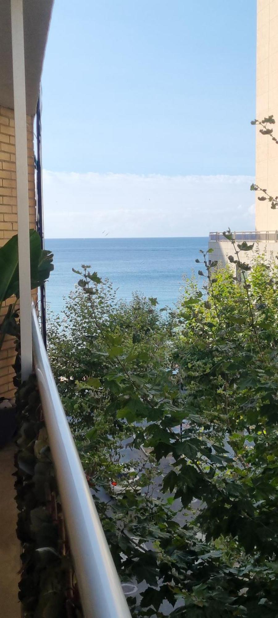 Damara Apartment