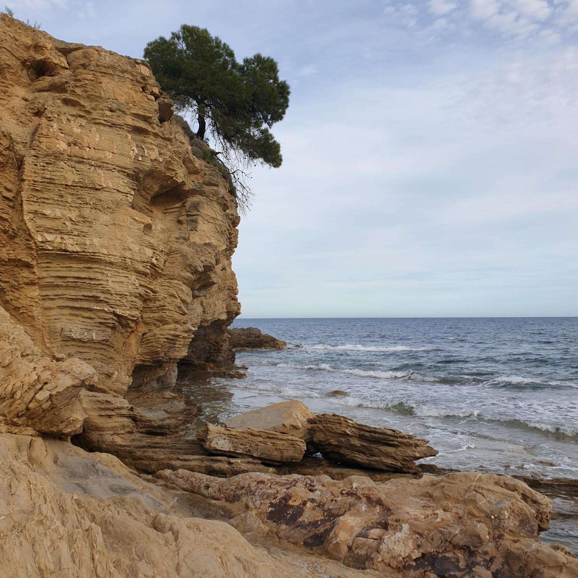 Calp Place