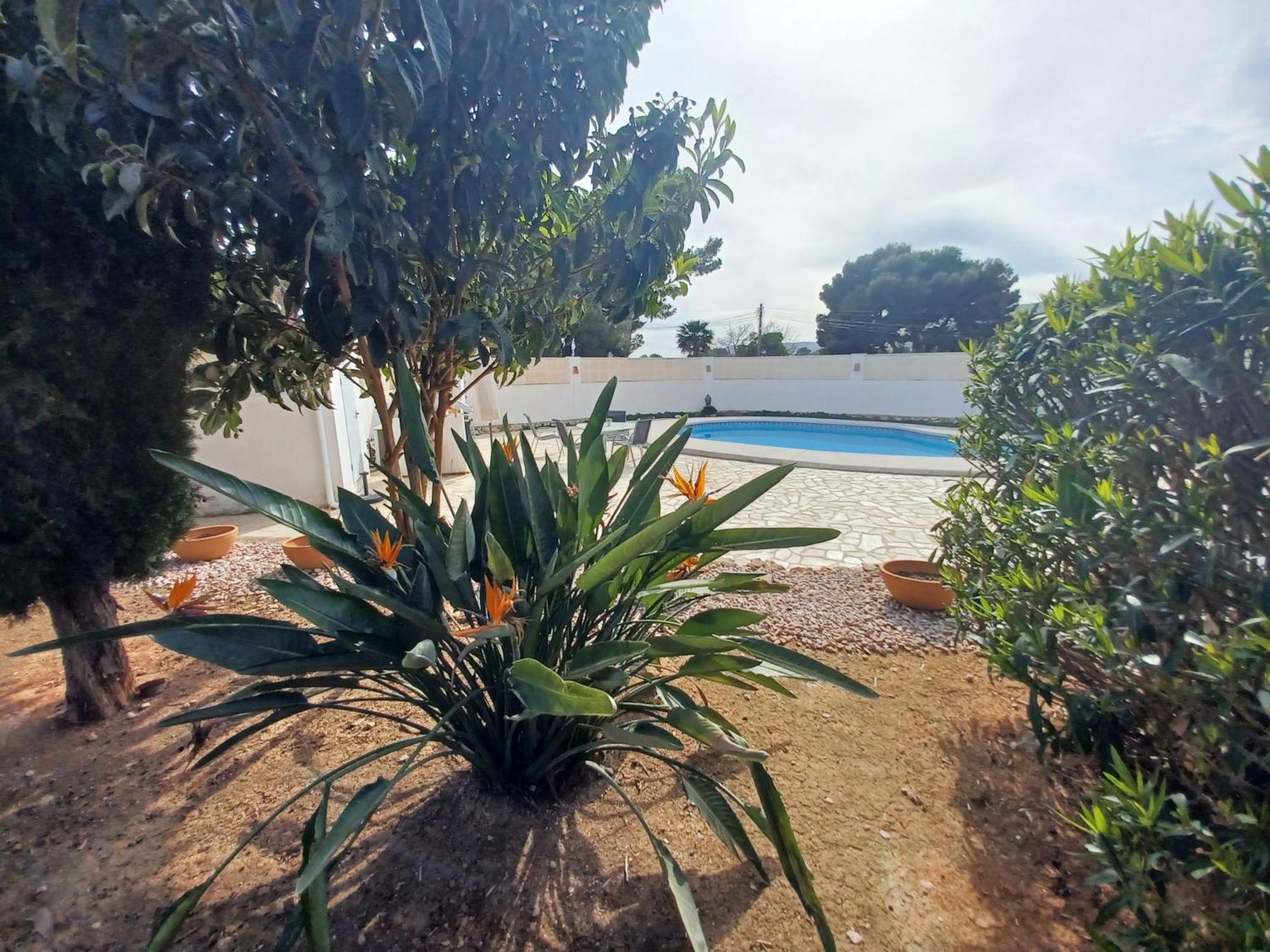 Holiday home Pura Vida *