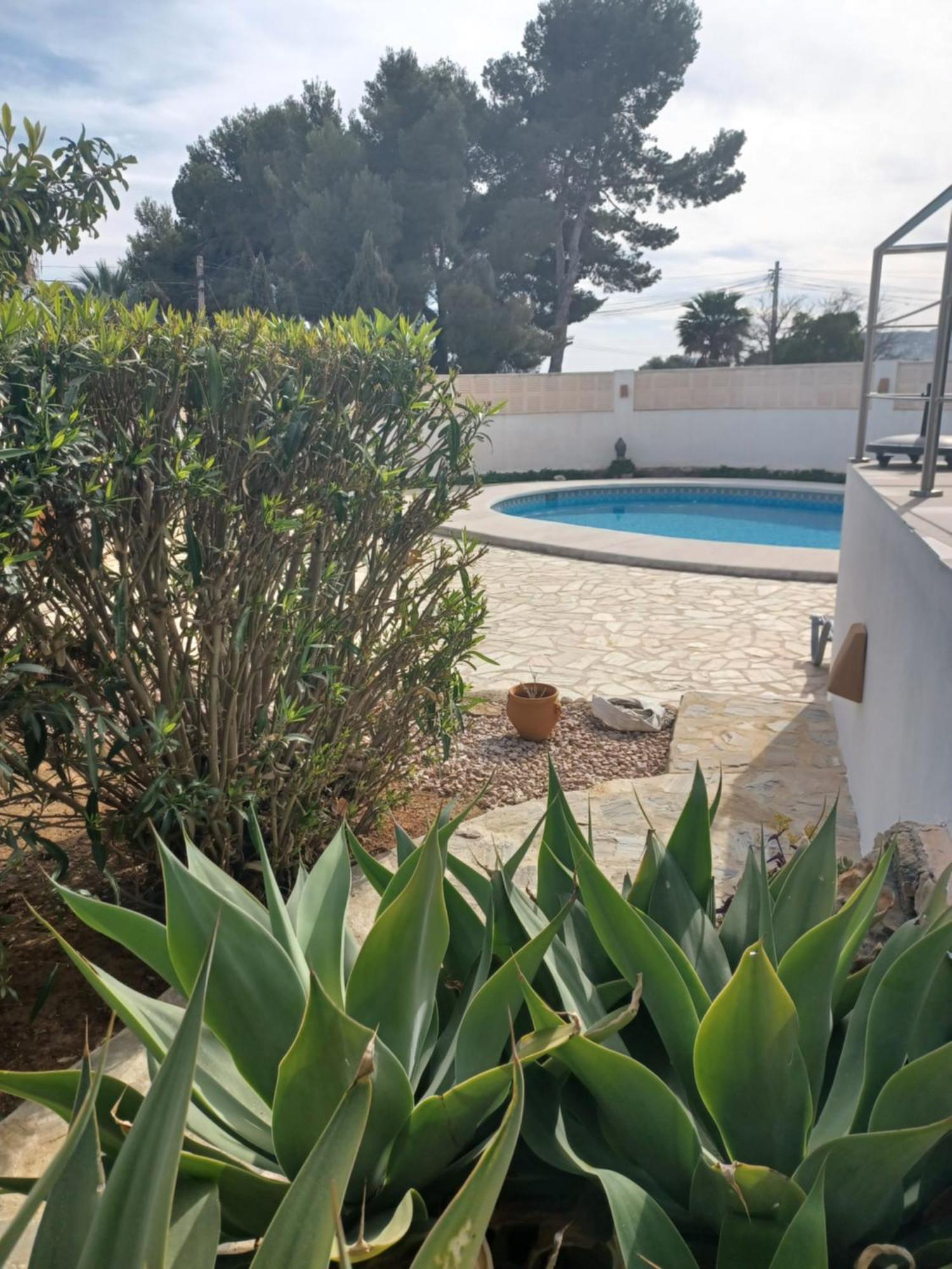 Pura Vida Сasa de vacaciones