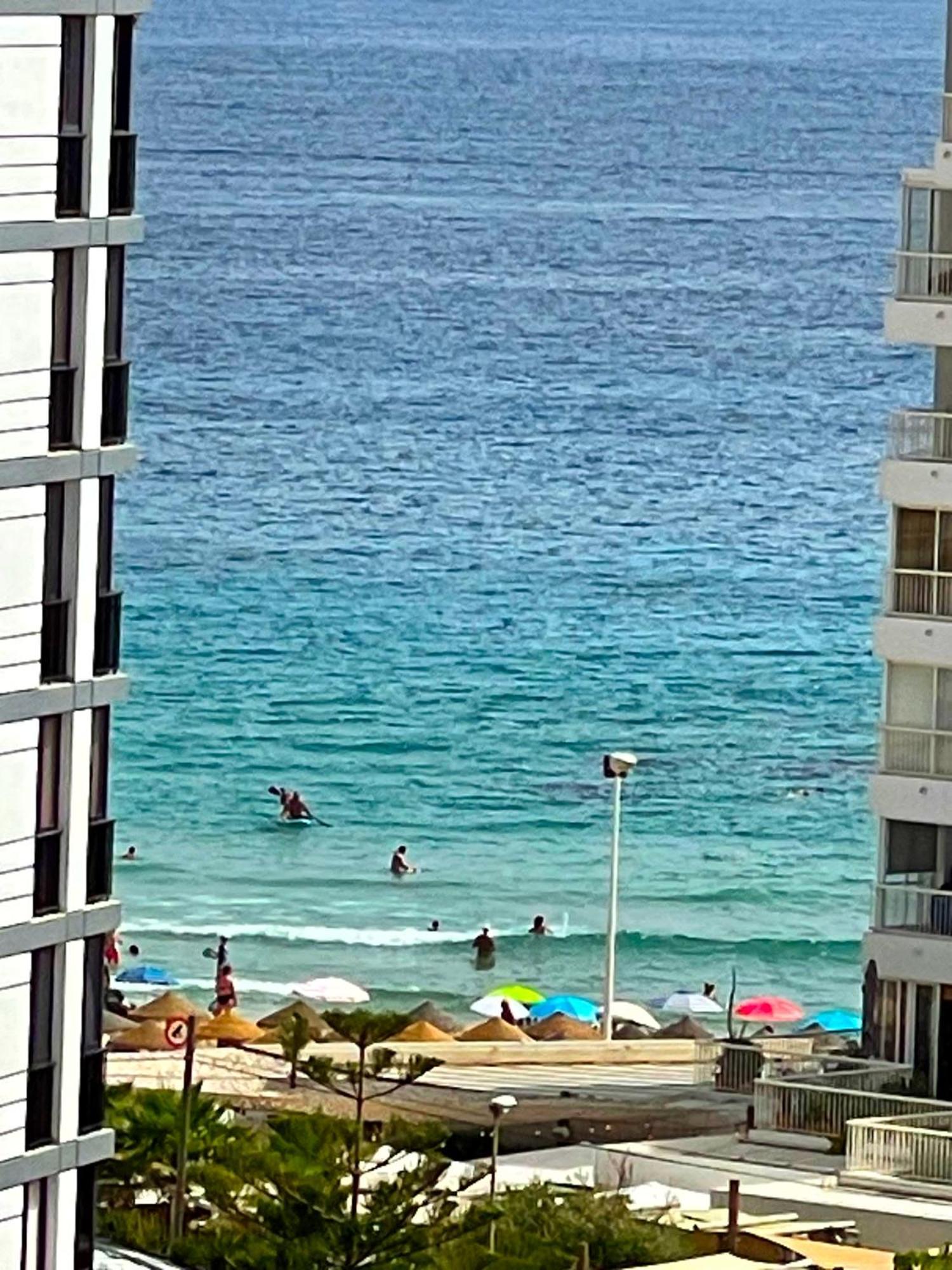 Apolo 5 Near Restaurants 150 Meter From *