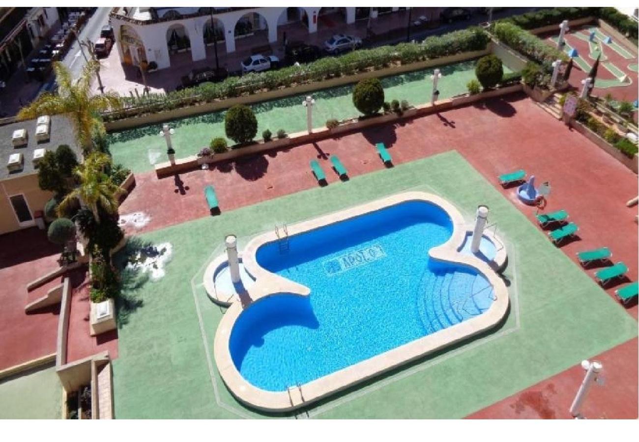 Apolo 7 2d Apartamento *