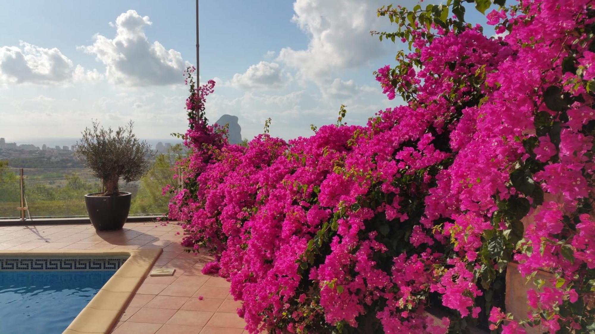 Villa Ref 147) 10 Persons Calpe