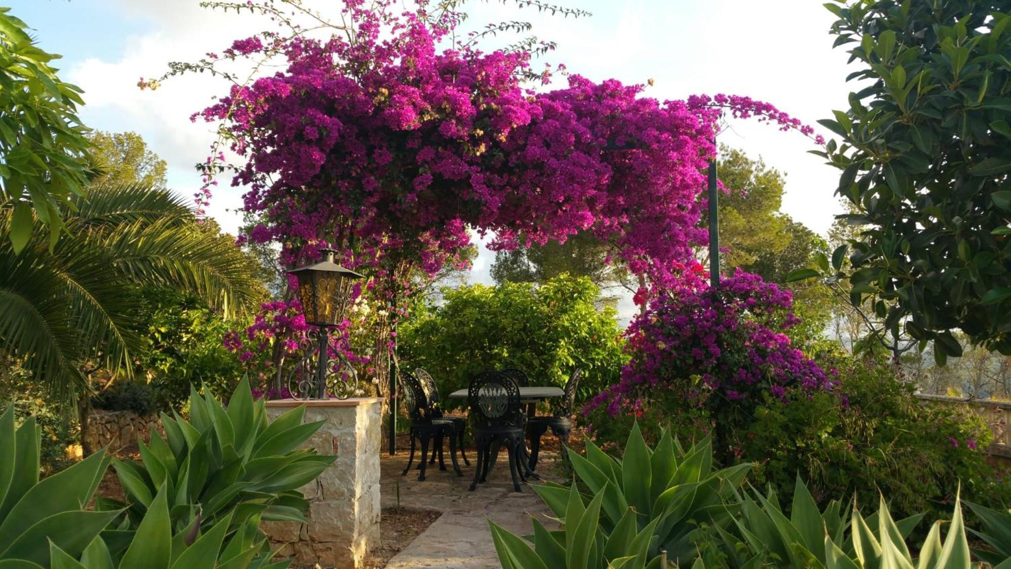 Villa Ref 147) 10 Persons *
