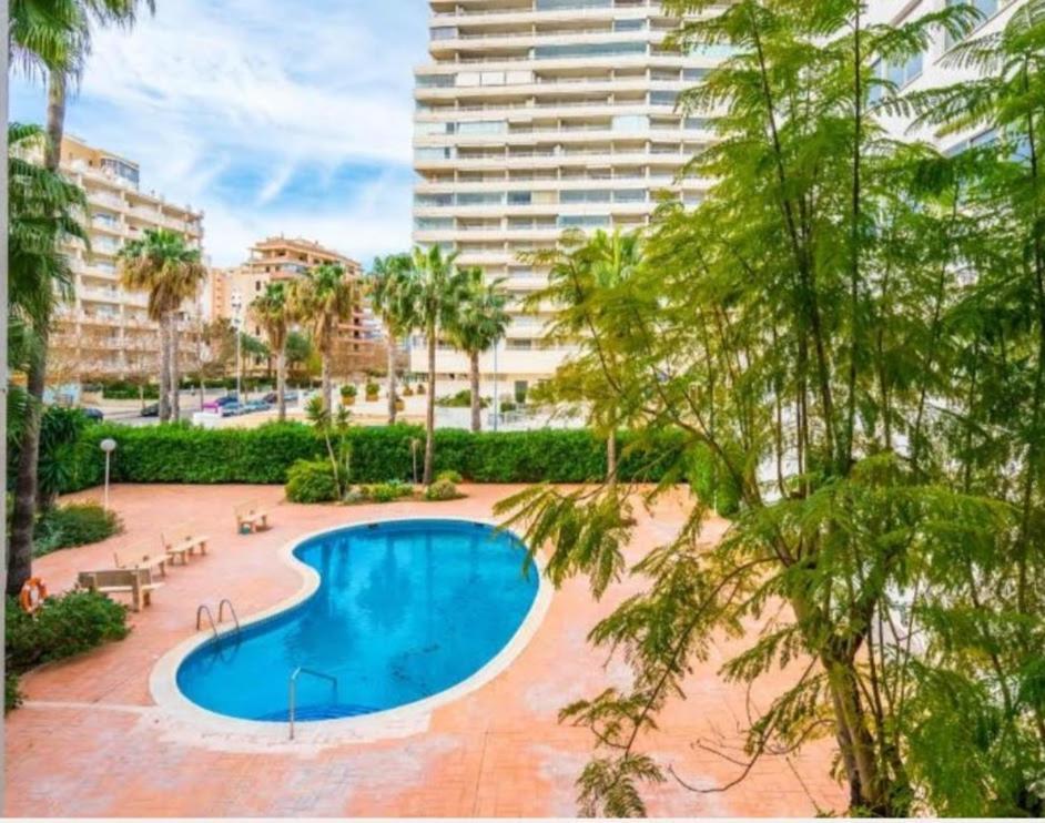 Excelsior Beachfront Apartment