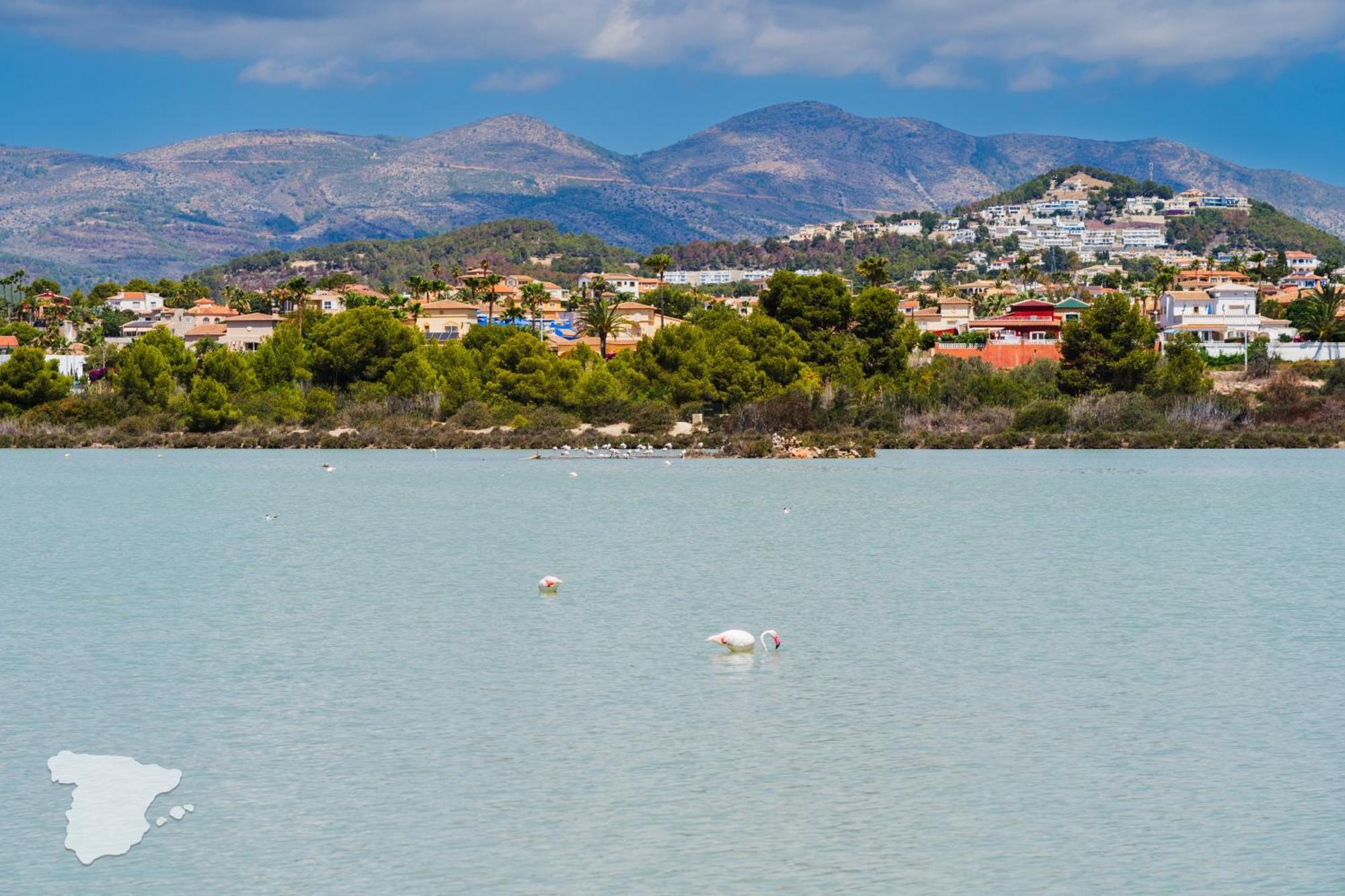 Costablancadreams Flamingo Frentemar In Apartment Calpe
