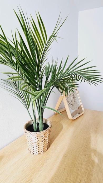 Apartment Boho Arenal Bol Calpe