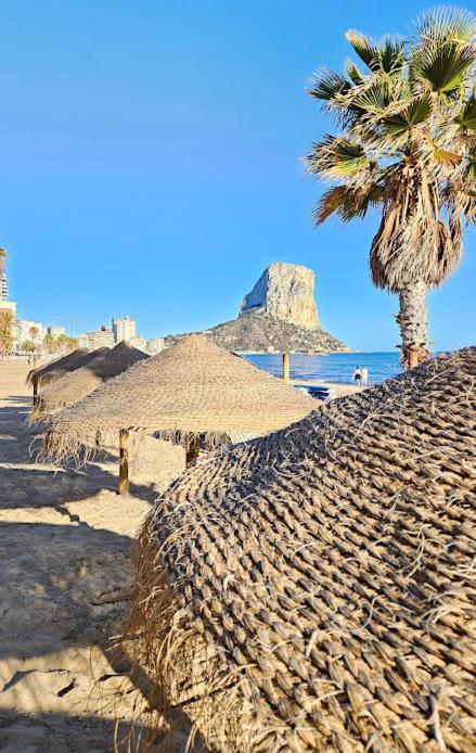 Atlantico Flamingo Calpe