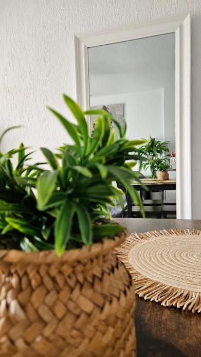 Atlantico Flamingo Apartment *